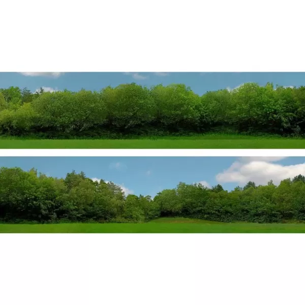 Backscene Tall Trees pack 149C 1:43 scale 15inch