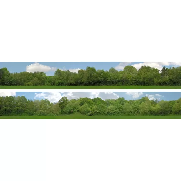 Backscene Tall Trees 149A N gauge and OO Self Adhesive