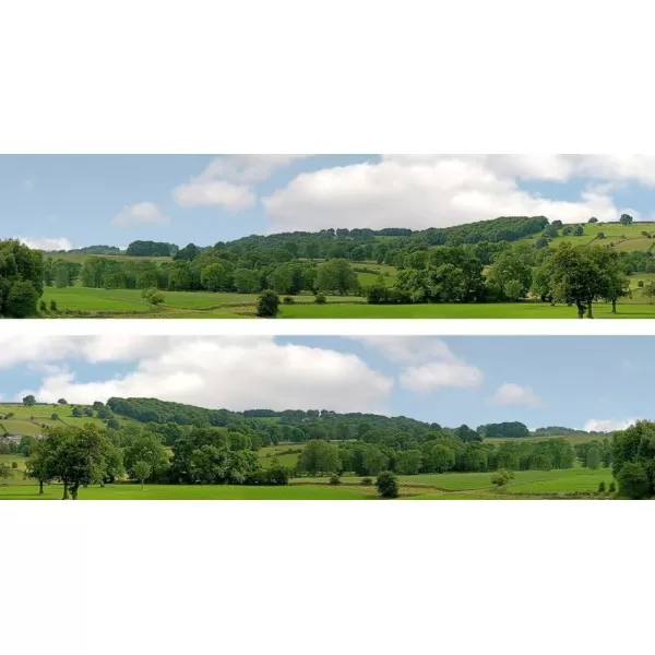 Backscene Village Long 202A OO 15 inch tall