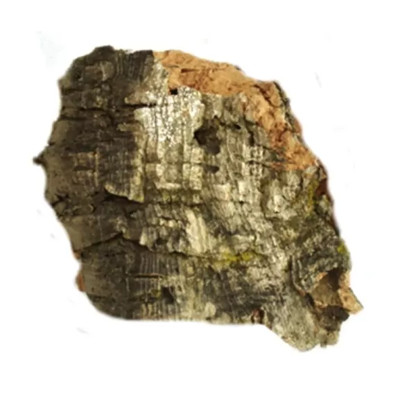 Cork bark Rock-face Javis JMCB