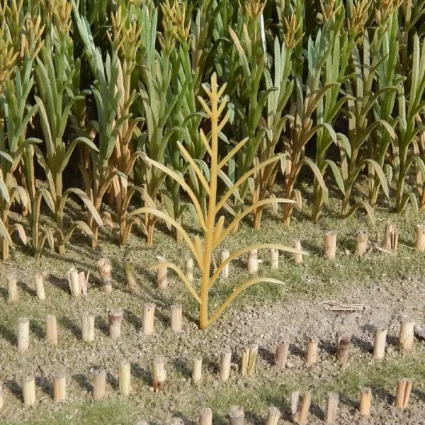 Maize Light Brown 1:32 Juweela 23289