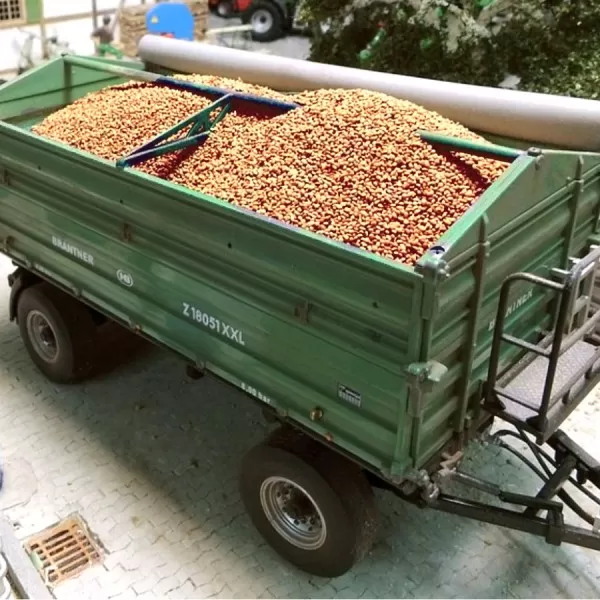 Grains of Cereal Crop   1:32 Scale  Juweela 23308