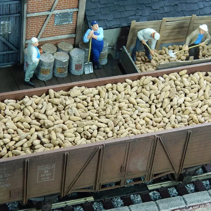 Sugar Beet 1:45 scale