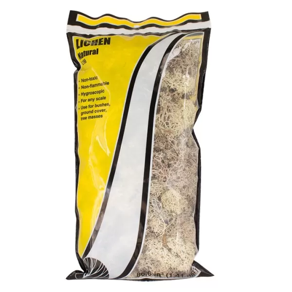 Lichen Natural Woodland Scenics L166