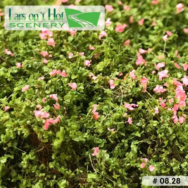 Bushes Dog Rose Lars op t Hof Scenery