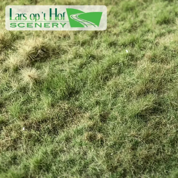 Landscape Mat Grass, Wild Summer Meadow.  Lars op 't Hof Scenery