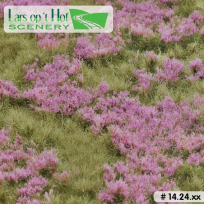 Landscape Mat Grass, Heather Field Summer Meadow.  Lars op 't Hof Scenery