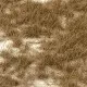Grass tufts - Desert Lars op 't Hof Scenery 02.76