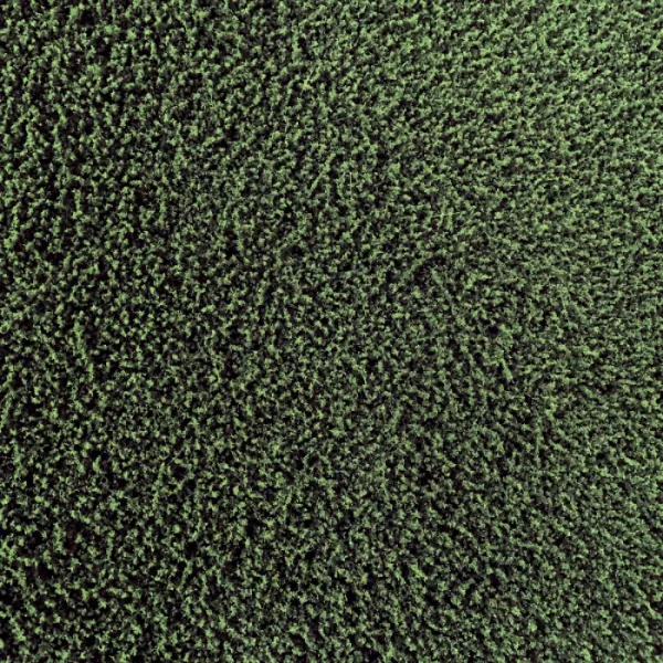 Weeds Dark Green Lars op 't Hof Scenery