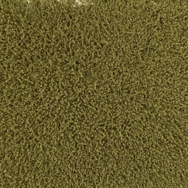 Weeds Olive Green Lars op 't Hof Scenery