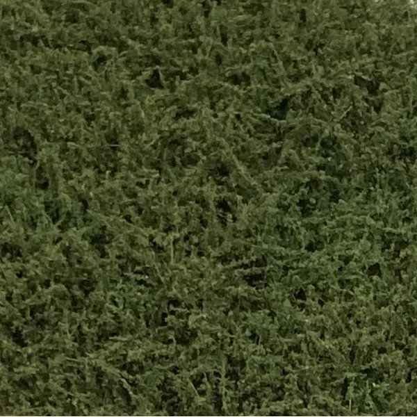 Bushes High Light Green Lars op t Hof Scenery 07.19