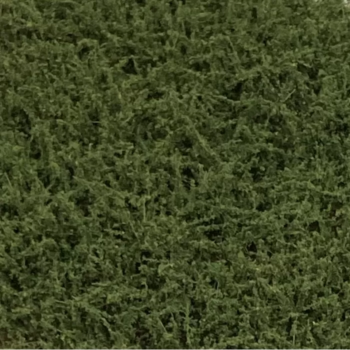 Bushes High Light Green Lars op t Hof Scenery 07.19