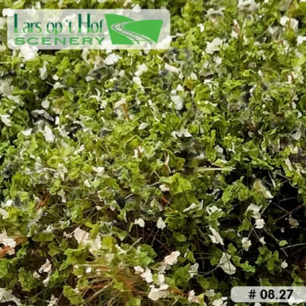 Bushes Dog Rose Alba  Lars op t Hof Scenery