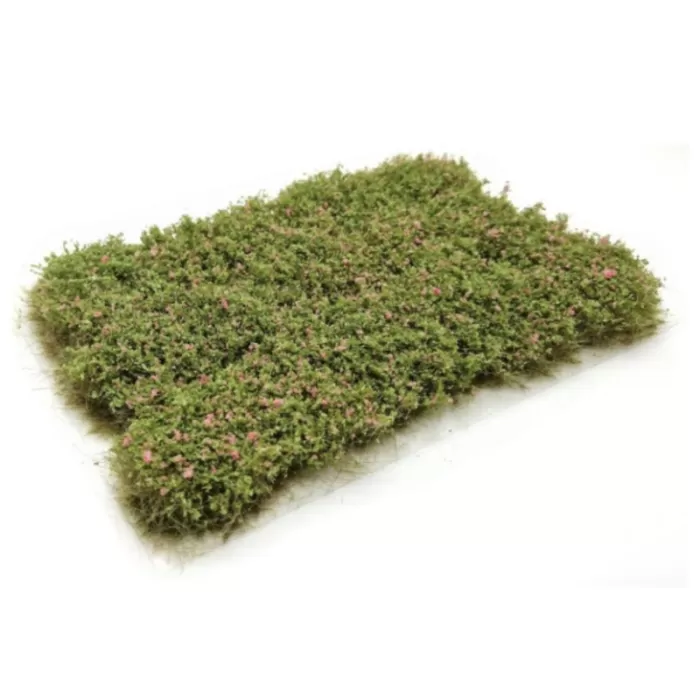 Bushes Dog Rose Lars op t Hof Scenery  08.28