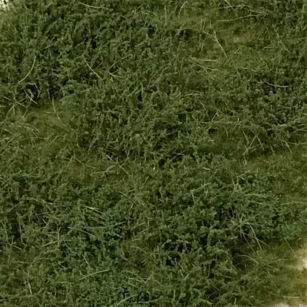 Wild Verge with Weeds Lars op t Hof Scenery 08.29