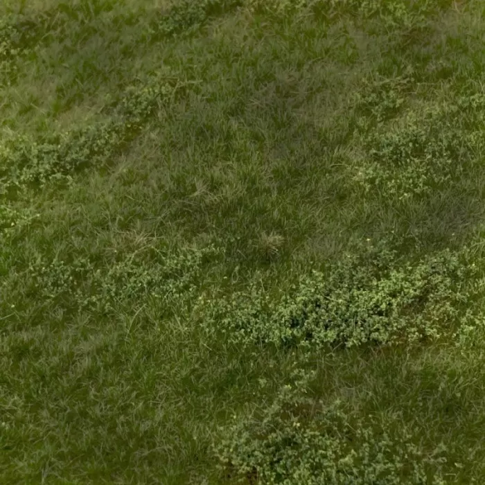 Landscape Mat Grass, Pasture with Weeds summer.  Lars op 't Hof Scenery