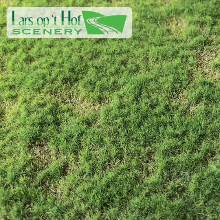 Landscape Mat Grass, Pasture Spring - Short.  Lars op 't Hof Scenery