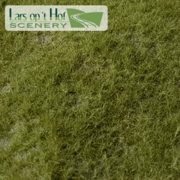 Landscape Mat Grass, Pasture Summer - Long.  Lars op 't Hof Scenery