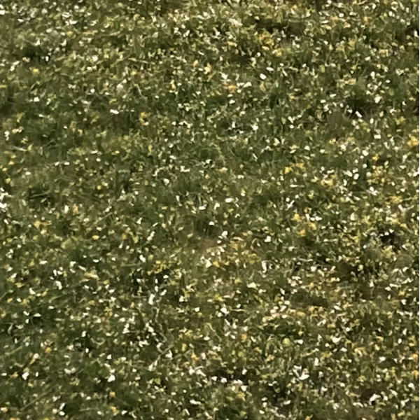 Landscape Mat Grass, Summer Flower Meadow - Lars op t Hof Scenery 11.24