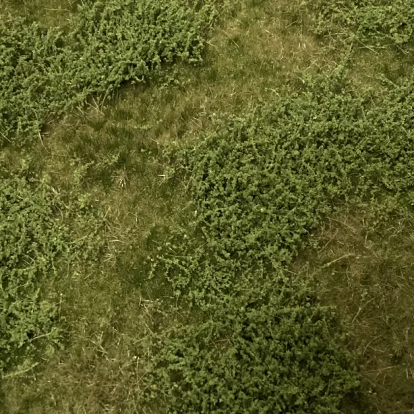 Landscape Mat Wild Verge Summer.  Lars op 't Hof Scenery