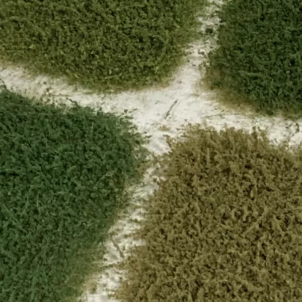 Weeds Mixed Pack Lars op 't Hof Scenery 36.14