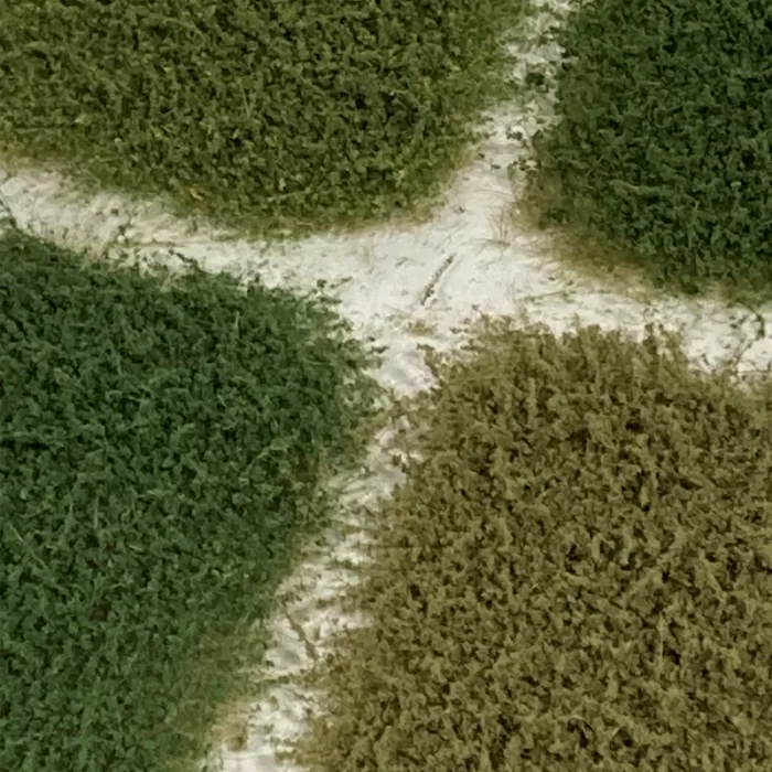 Weeds Mixed Pack Lars op 't Hof Scenery 36.14