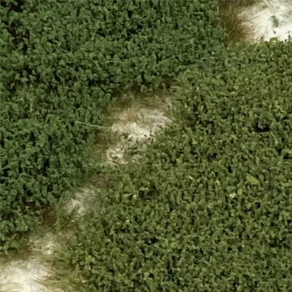 Bushes Low Mixed Pack Lars op t Hof Scenery 37.16