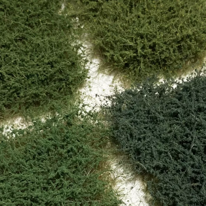 Bushes HIGH Mixed Green Pack Lars op t Hof Scenery 37.19