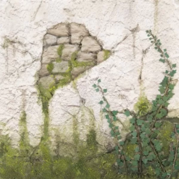 Moss Bracken Green MIG-8823