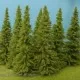 Larch Trees 150mm tall Model Scene MO150
