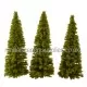 Larch Trees 100mm tall Model Scene MO100