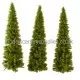 Larch Trees 200mm tall MO200