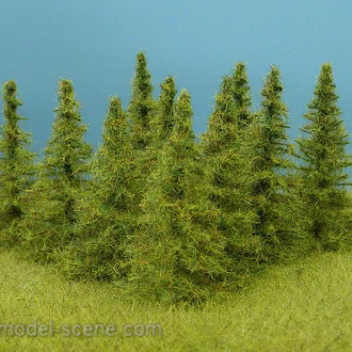 Larch Trees 50mm tall