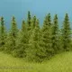 Larch Trees 50mm tall