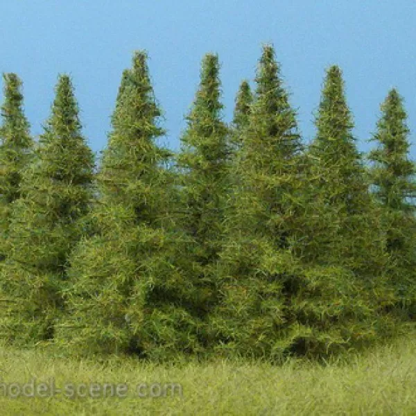 Larch Trees 70mm tall
