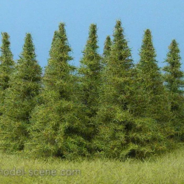 Larch Trees 70mm tall