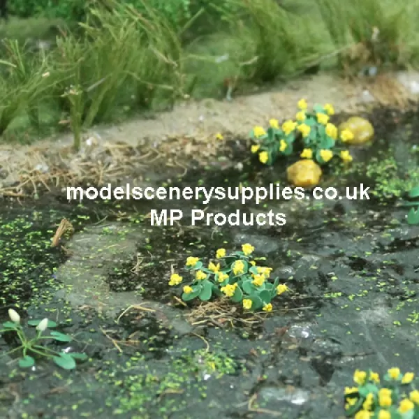 Marsh Marigold Small