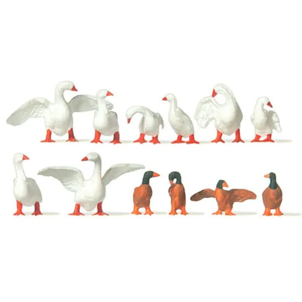 Swans and Ducks  OO Merten 0210724