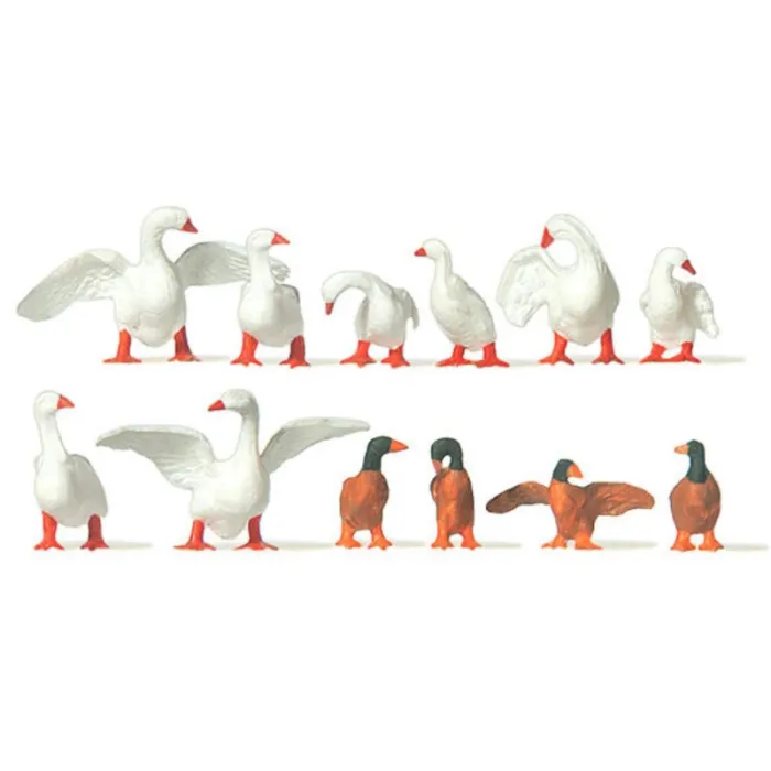 Swans and Ducks  OO Merten 0210724