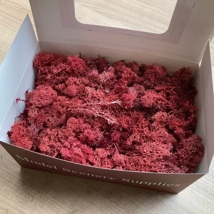 Lichen Moss red Unsorted box