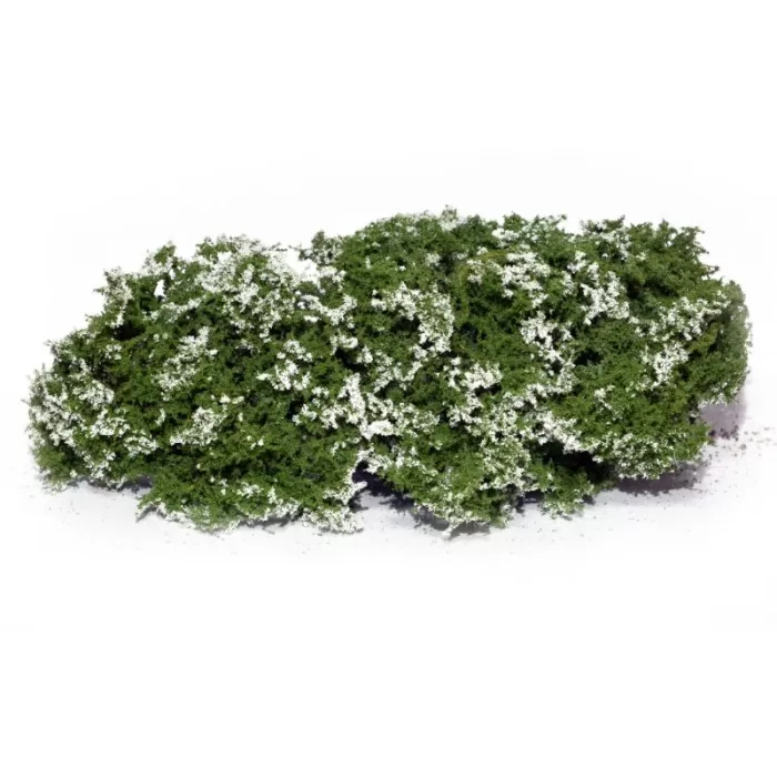 Shrub Bushes Flowering White