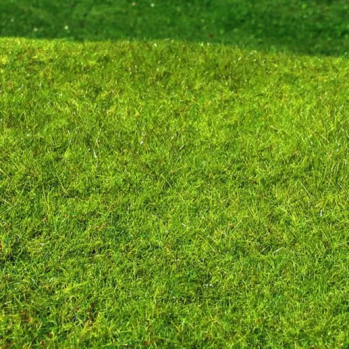 Landscape Static Grass Mat Spring Meadow Grass 