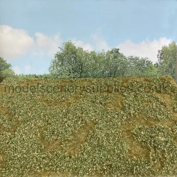 Landscape Mat Grass and Low Bushes, Late Summer Model Scene F503