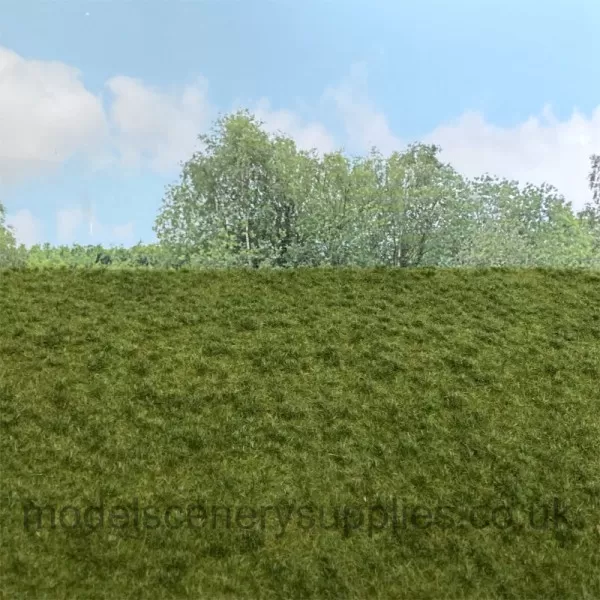 Landscape Mat Grass Summer Meadow with Grass Tufts Model Scene 517
