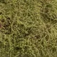 Landscape Mat Wild Area With Bushes, Spring  Model Scene F571