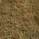 Landscape Mat Wild Area With Bushes, Late Summer Model Scene F573
