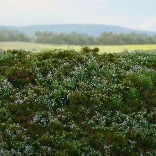 Blueberries minipack landscape mat