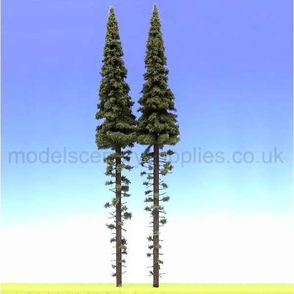 Spruce Trees with dead branches 500mm tall O gauge