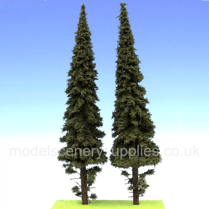 Spruce Trees with dead branches 300mm tall O gauge