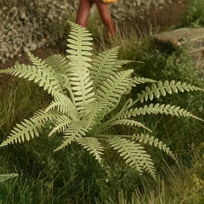 Ferns OO Model Scene VG7-001